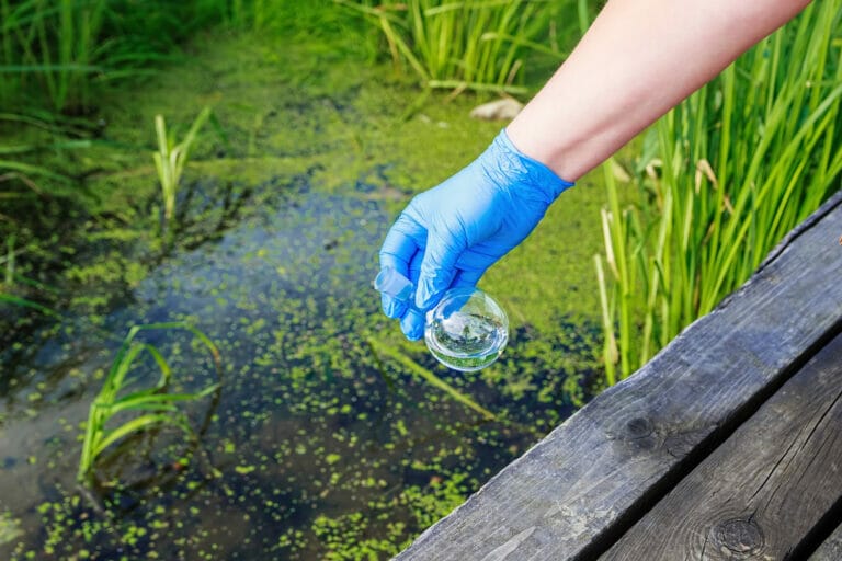 salinomètre tester la qualité de l'eau étang, lac, aquarium, piscine